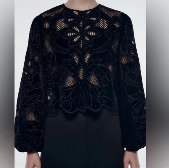 NEW ZARA Embroidered Velvety Top M - Picture 1 of 11